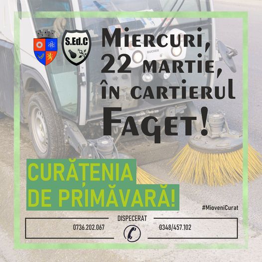 curatenie-mioveni.jpg