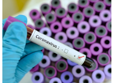 coronavirus cazuri