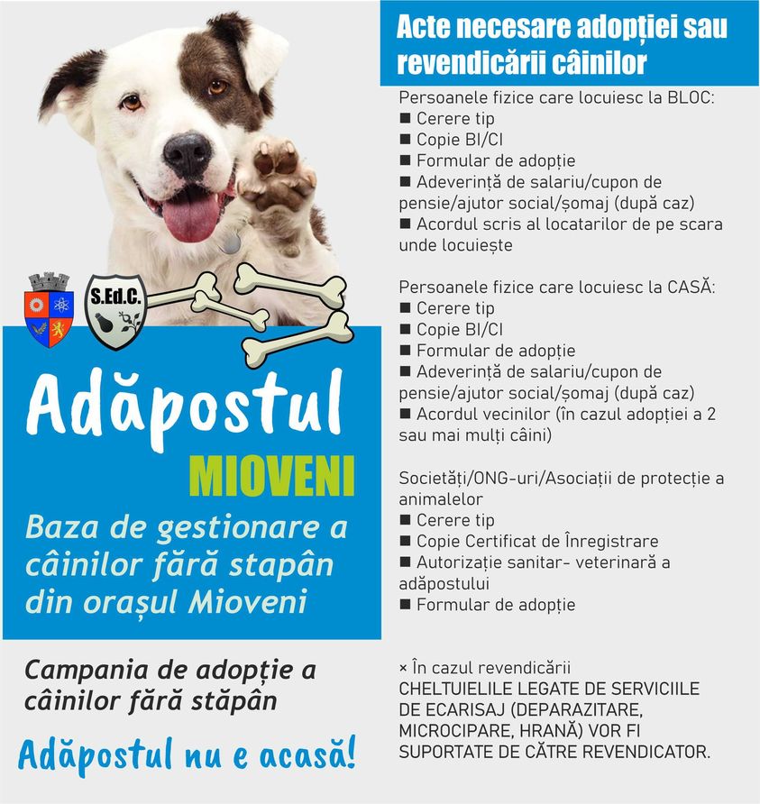 adoptii_caini_mioveni.jpg