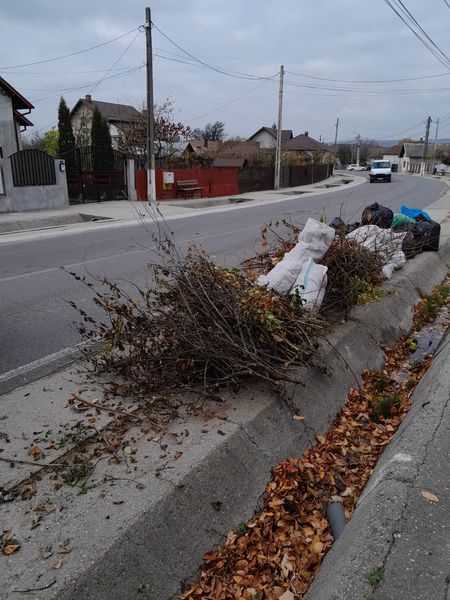 deseuri-vegetale-mioveni.jpg