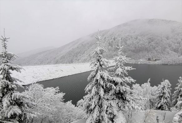 pecineagu-zapada.jpg