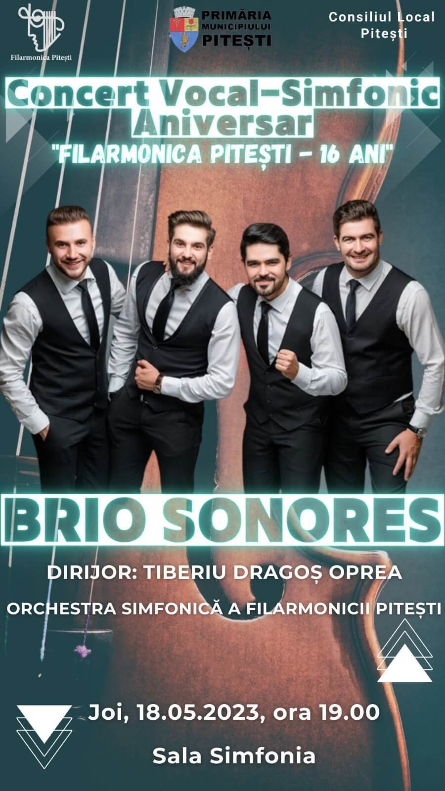 brio-sonores.jpg