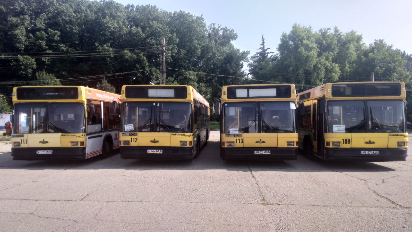 autobuze-maz.jpg