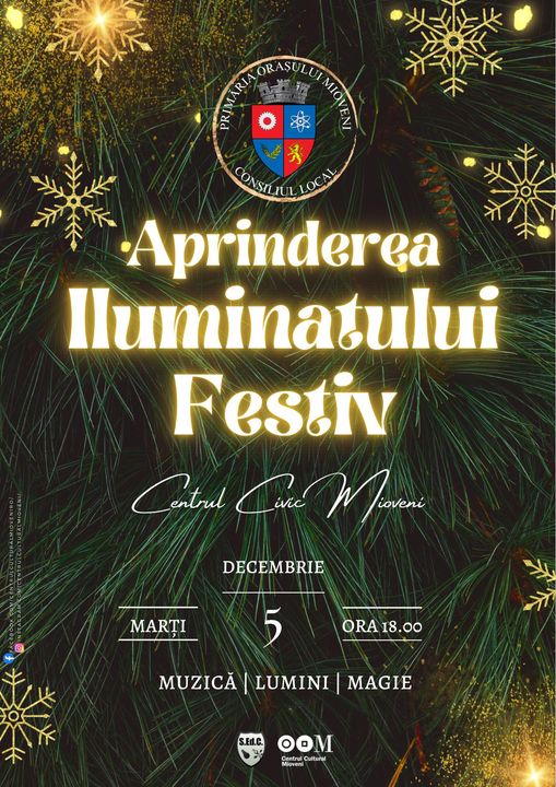 iluminat-festiv-mioveni1.jpg