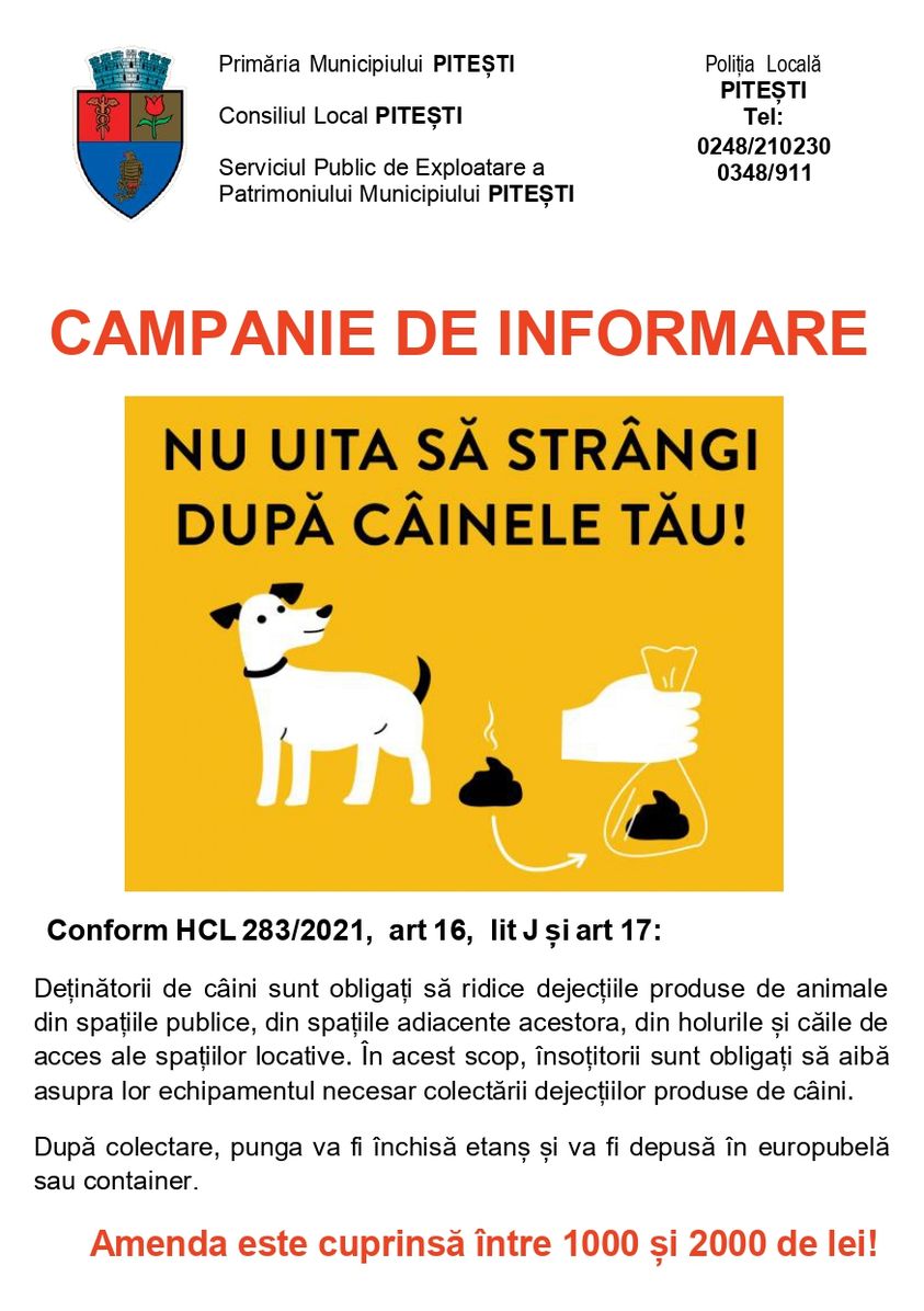 campanie-strangere-dupa-caini-pitesti.jpg