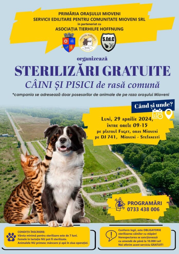 sterilizare-mioveni-29.jpg