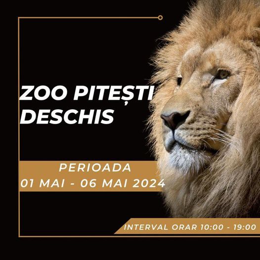 zoo-afis-leu.jpg